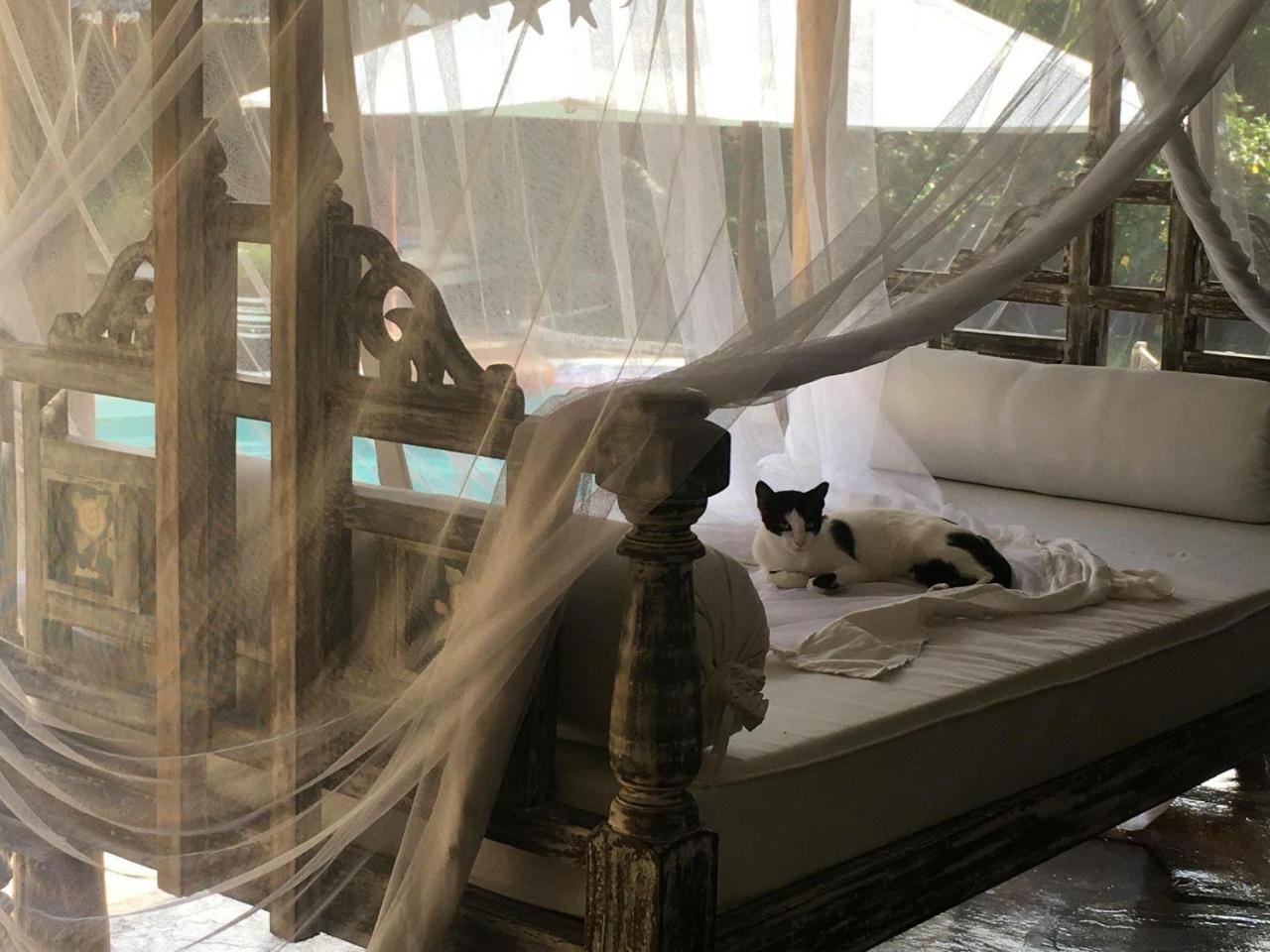 Bed and Breakfast Pashmina House à Watamu Extérieur photo